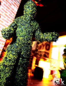 Topiary Man
